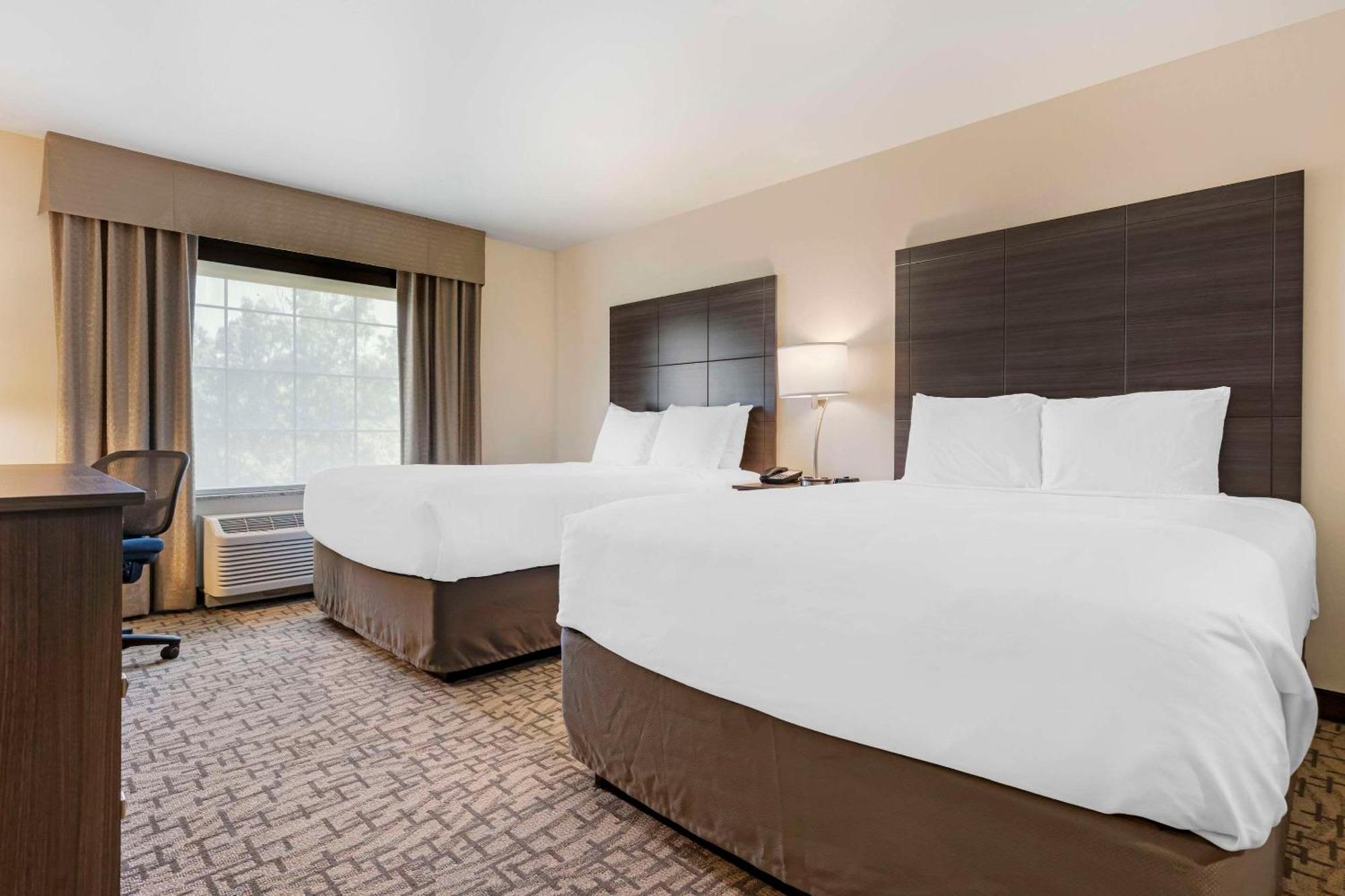 Comfort Inn & Suites Medina ภายนอก รูปภาพ