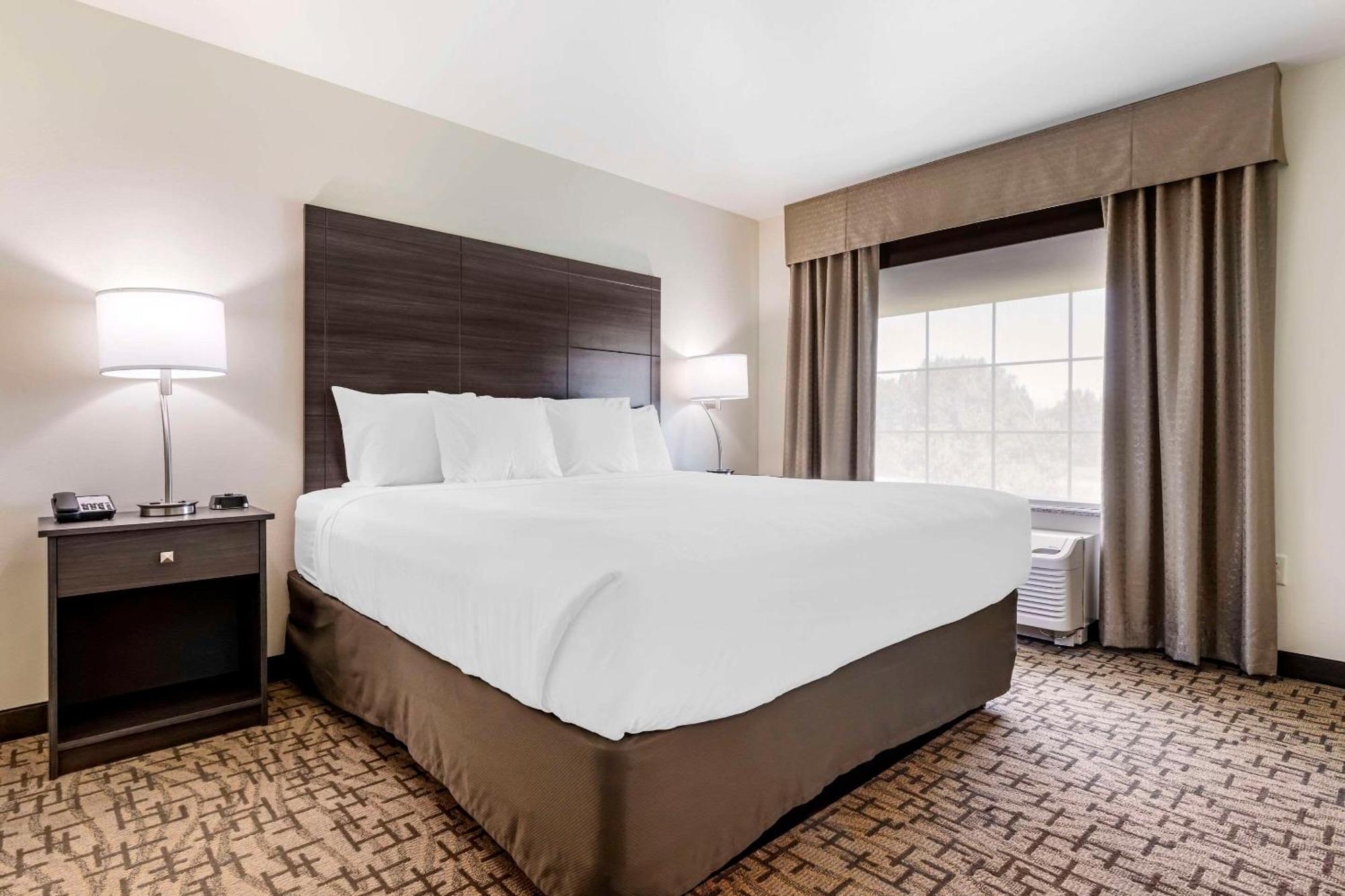 Comfort Inn & Suites Medina ภายนอก รูปภาพ