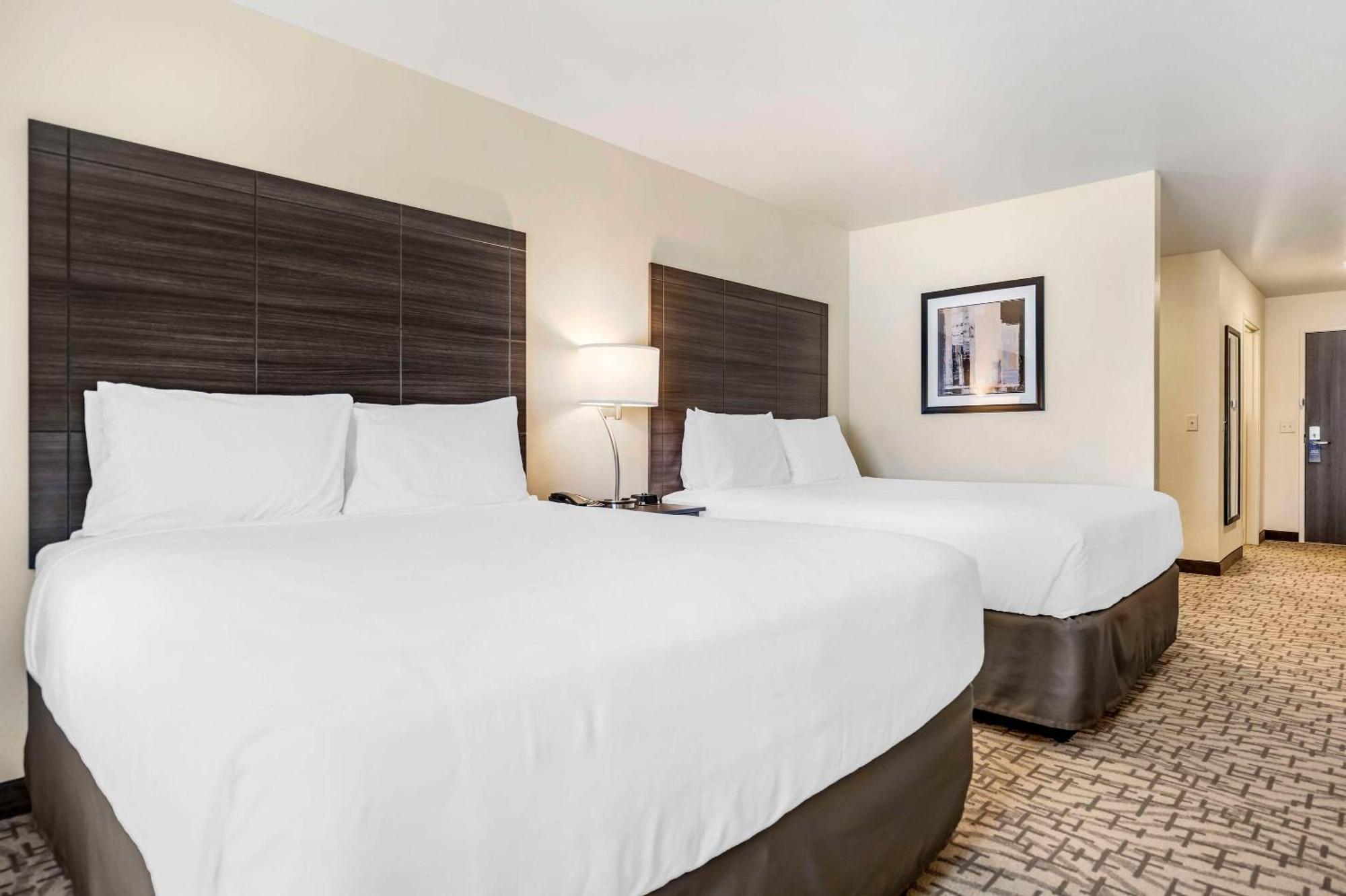 Comfort Inn & Suites Medina ภายนอก รูปภาพ