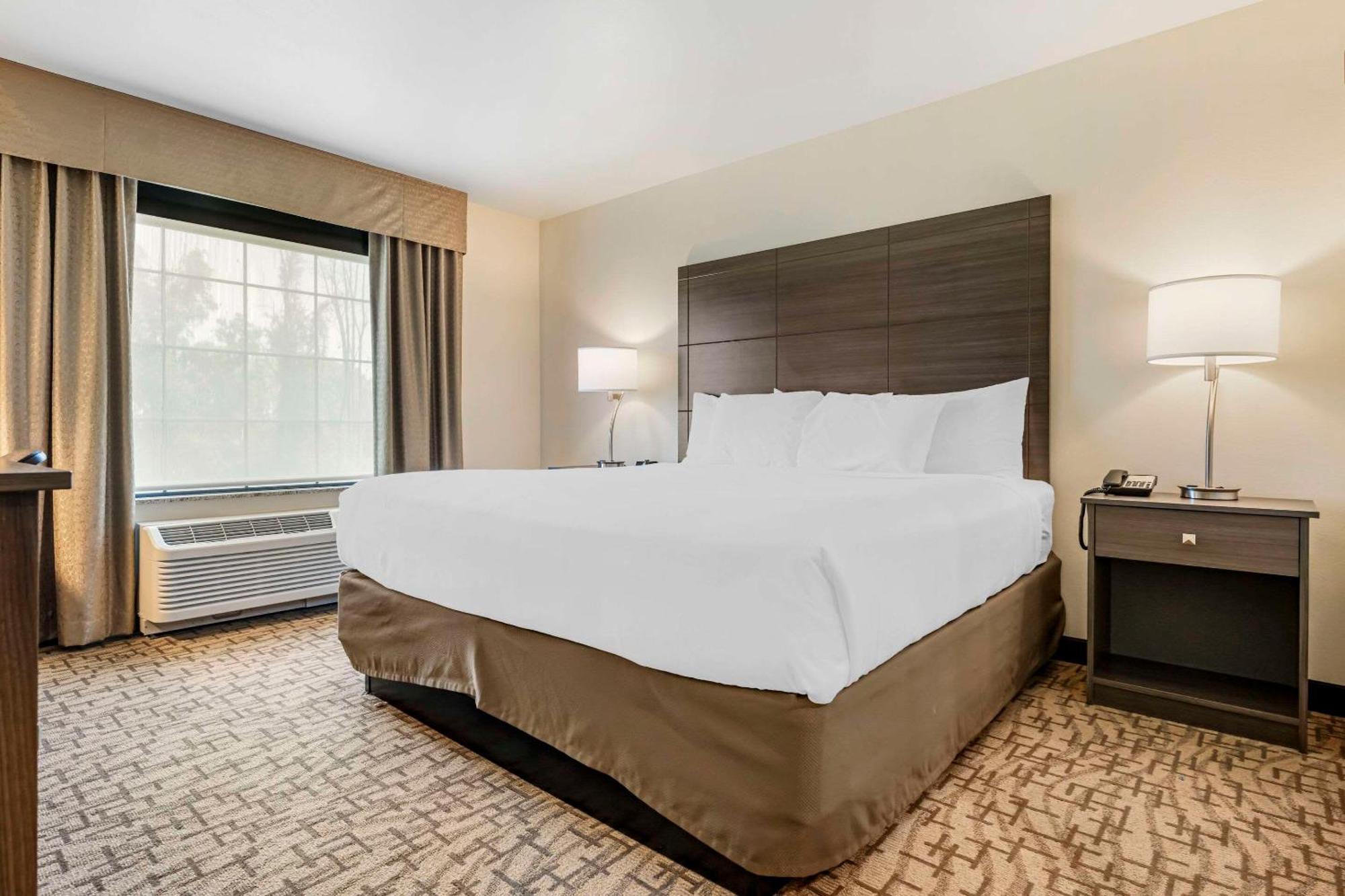 Comfort Inn & Suites Medina ภายนอก รูปภาพ