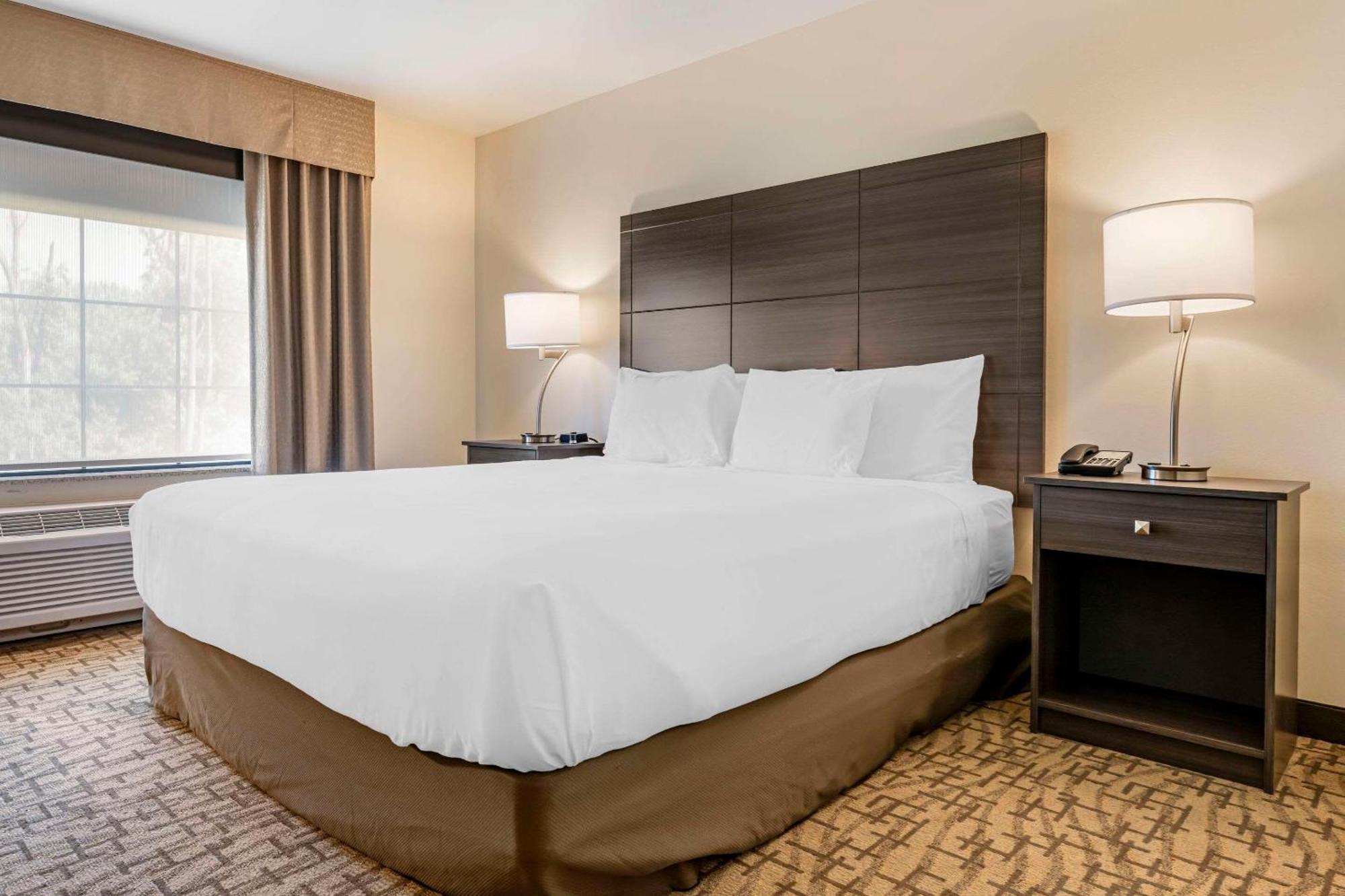 Comfort Inn & Suites Medina ภายนอก รูปภาพ